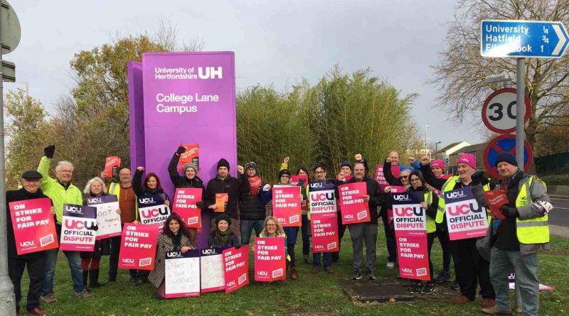 college lane picket
